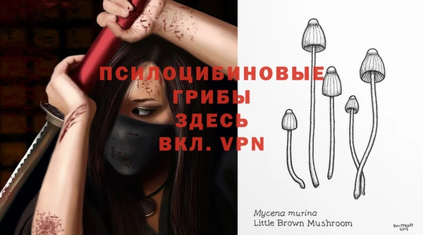 mix Баксан