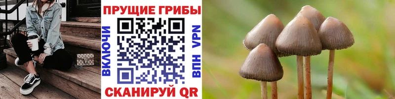 Галлюциногенные грибы Cubensis  KRAKEN ССЫЛКА  Благодарный 